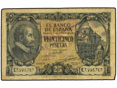 Lote 5549