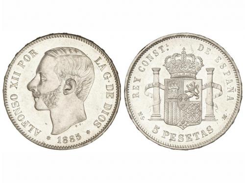 Lot 1137