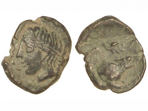 Lot 2033