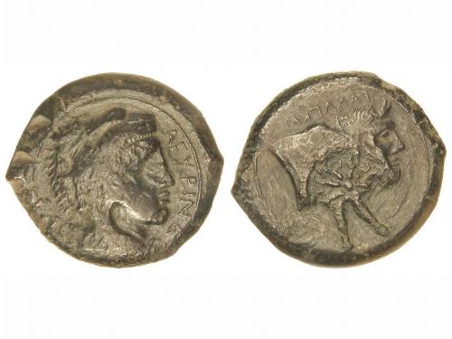 Lot 2024