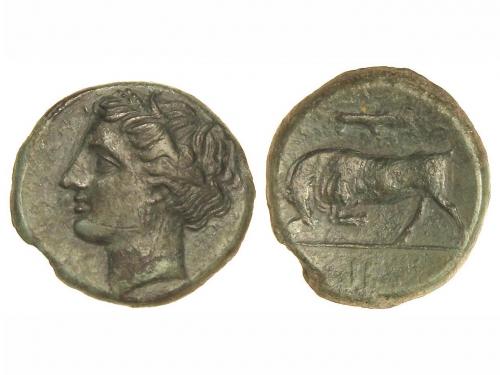 Lot 2043