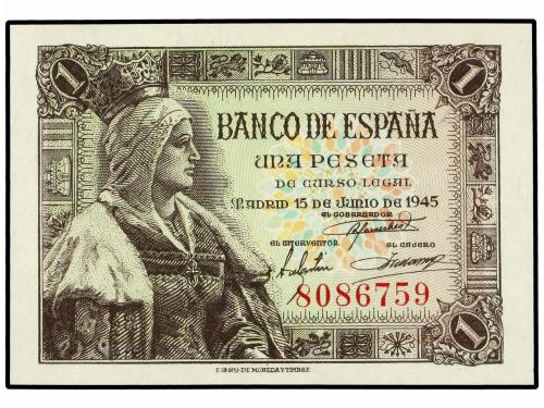 Lote 1335
