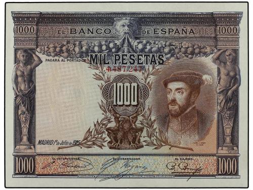 Lote 5454