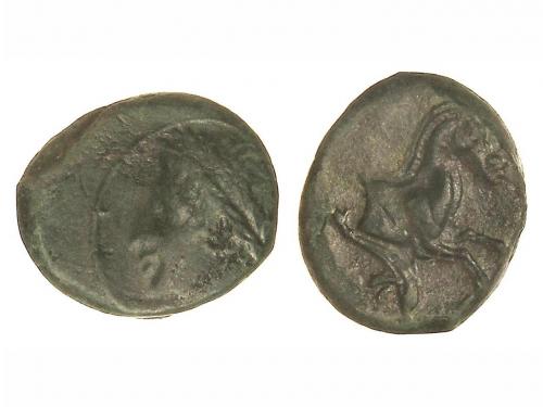 Lot 2051
