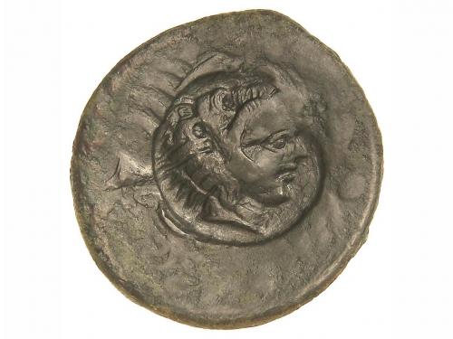 Lot 2023