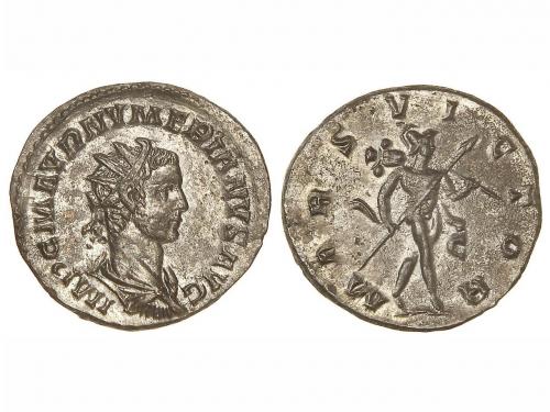 Lote 379