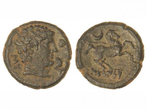 Lot 2495