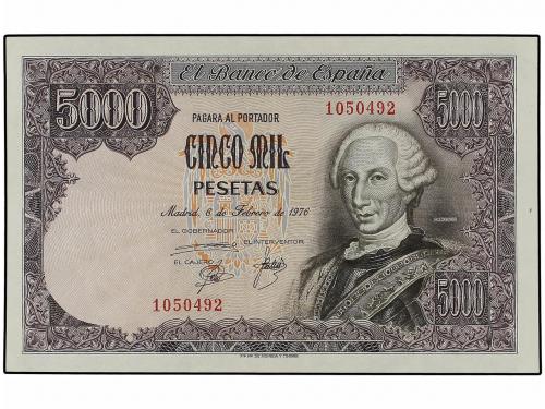 Lote 5731