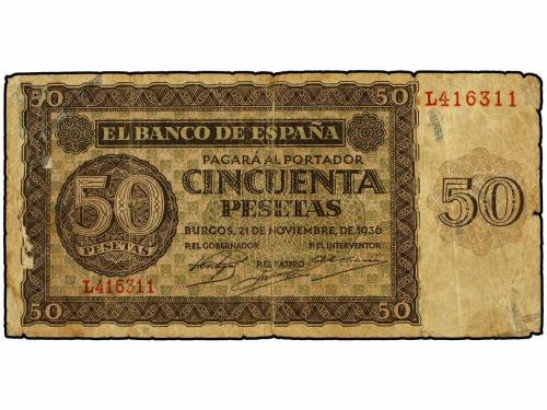 Lote 5560