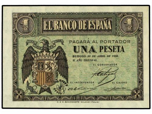 Lote 5504