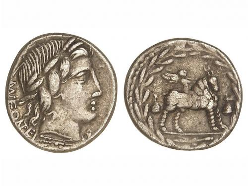 Lote 151