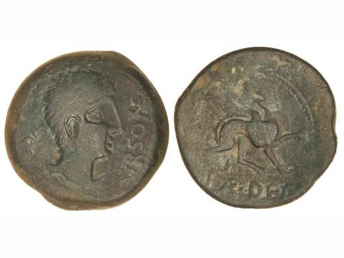 Lot 2561