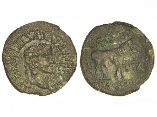 Lot 2545