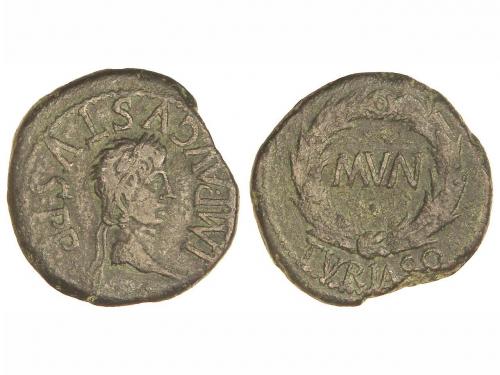 Lot 2537