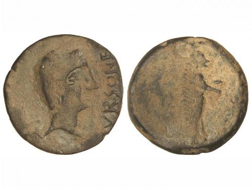 Lot 2559