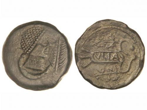 Lot 2556