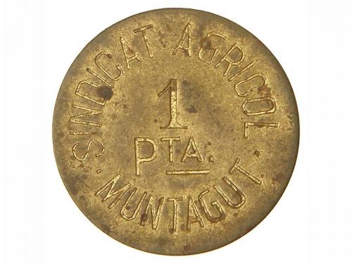 Lote 6897