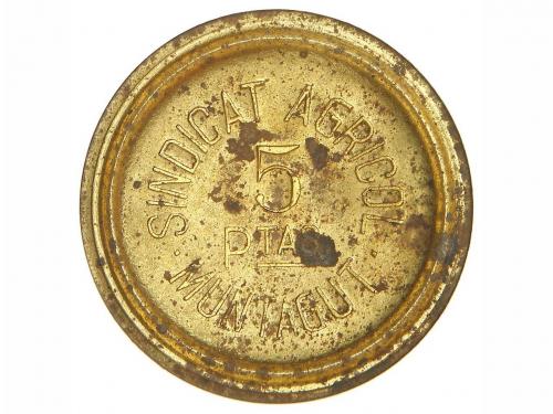 Lote 6896