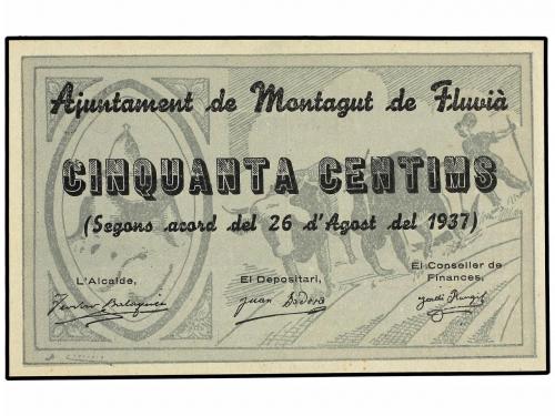Lote 6893