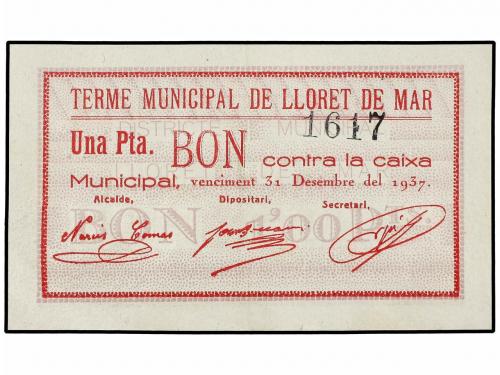 Lote 6811