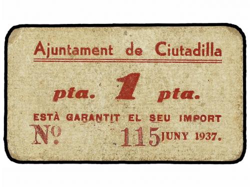 Lote 6570