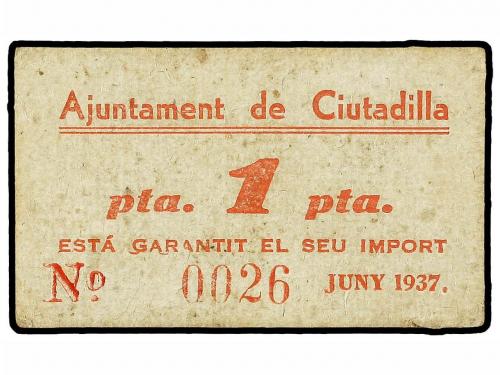 Lote 6571