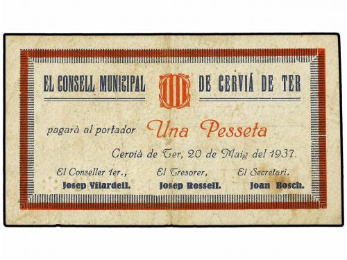 Lote 6566