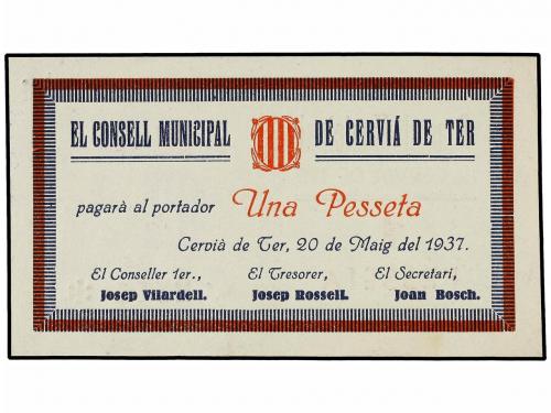 Lote 6564