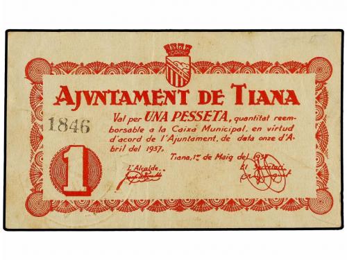 Lote 7315
