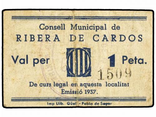 Lote 7155
