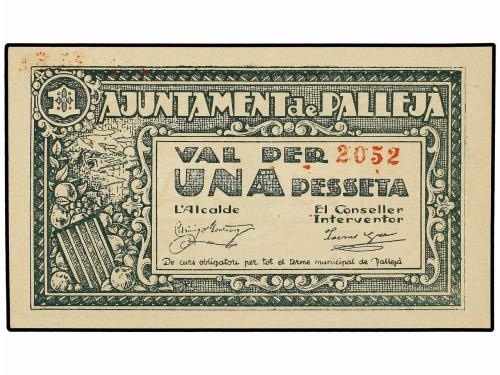 Lote 6999