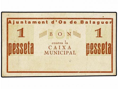 Lote 6977