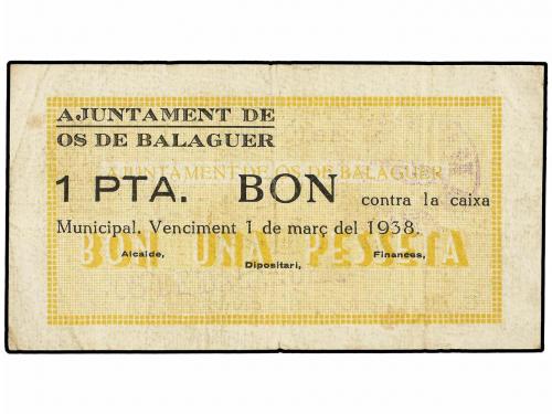 Lote 6976
