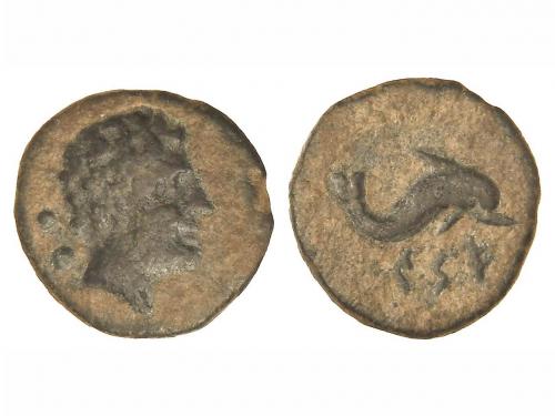 Lot 2528