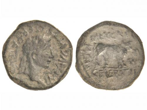 Lote 2246