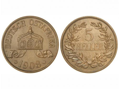 Lot 5704