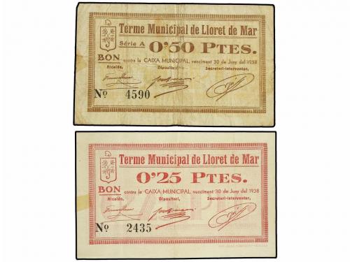 Lote 6815