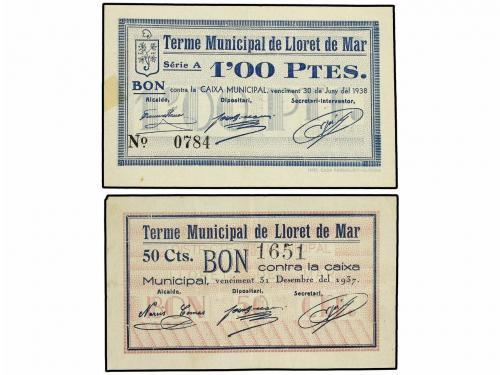 Lote 6813