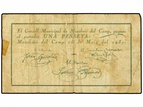 Lot 6905