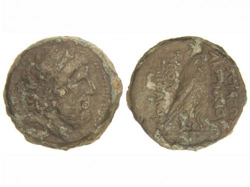 Lote 2570
