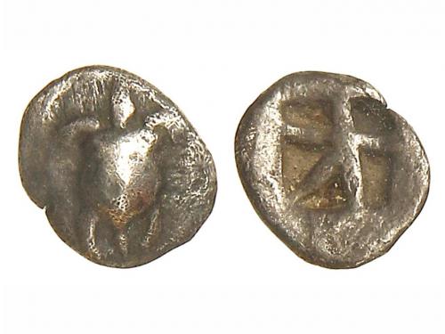 Lote 2081