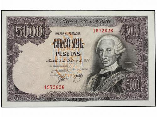 Lot 6163