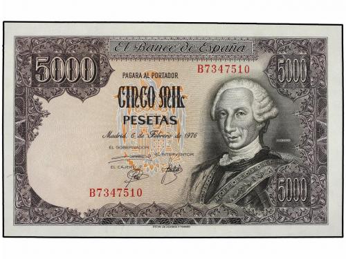 Lot 6169