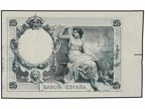 Lot 5911