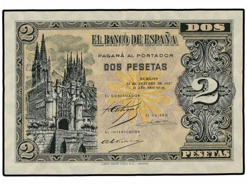 Lote 6009