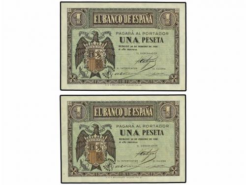 Lote 5974