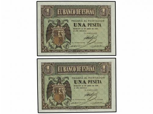 Lote 5979