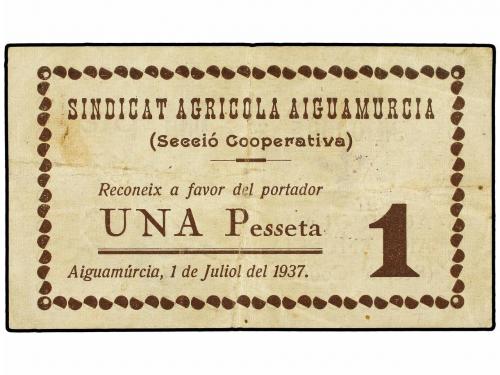 Lote 6242