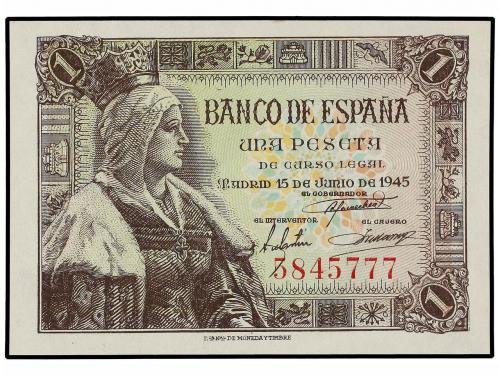 Lote 5995