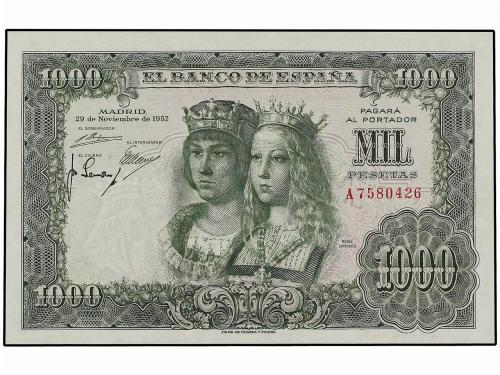 Lote 1003